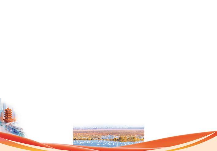 洪湖湿地保护区内，成群候鸟或漫游觅食，或展翅飞翔。 （湖北日报全媒记者 张灿 摄）