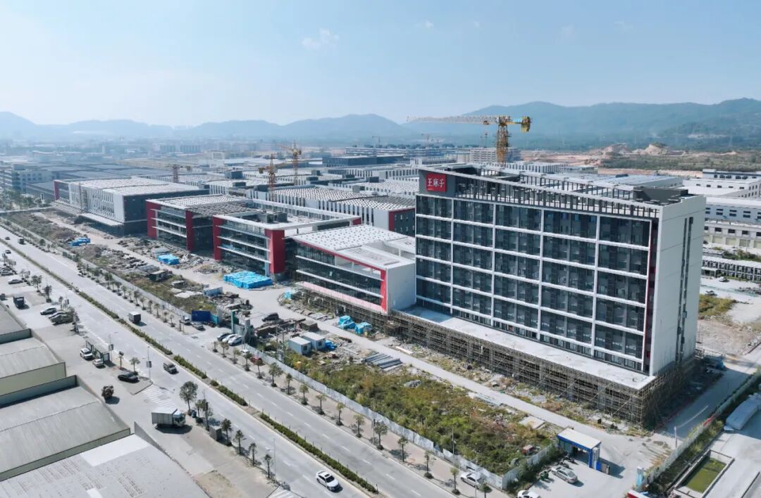 陈建华 摄