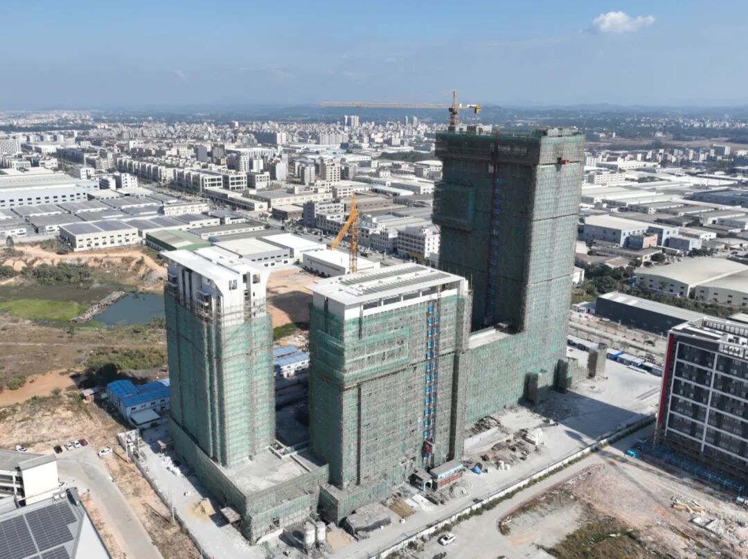 陈建华 摄