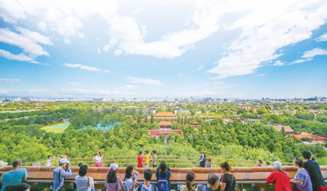 在这里，诗与远方，满眼繁花