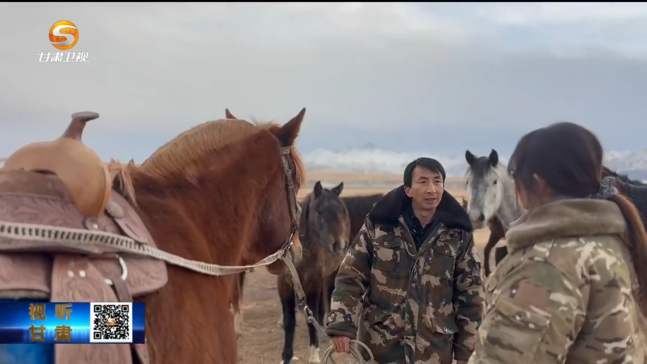 （新春走基层）祁连山下牧马人