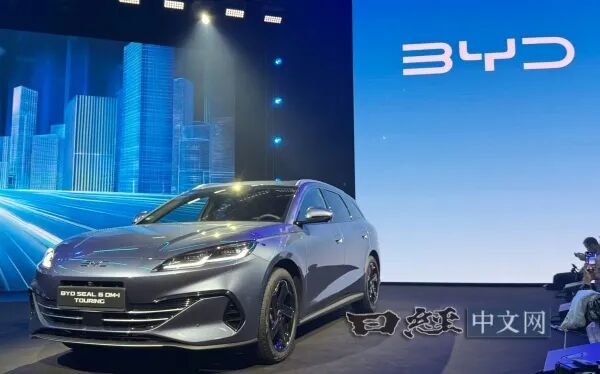 比亚迪日本研究（下）补贴未增，全方位参与