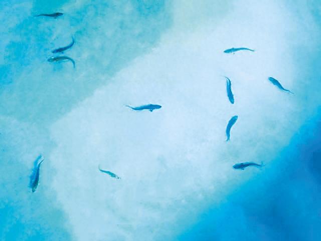 ������Ա�ɼ�������������ʮ��β���л����ܾ���Լ�����������ܷõ�λ��ͼ��