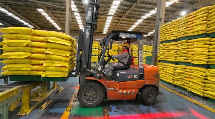 工作中的郭露露