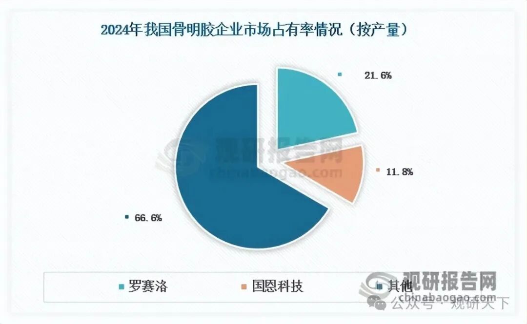 数据来源：沙利文、国恩科技招股说明书、观研天下整理