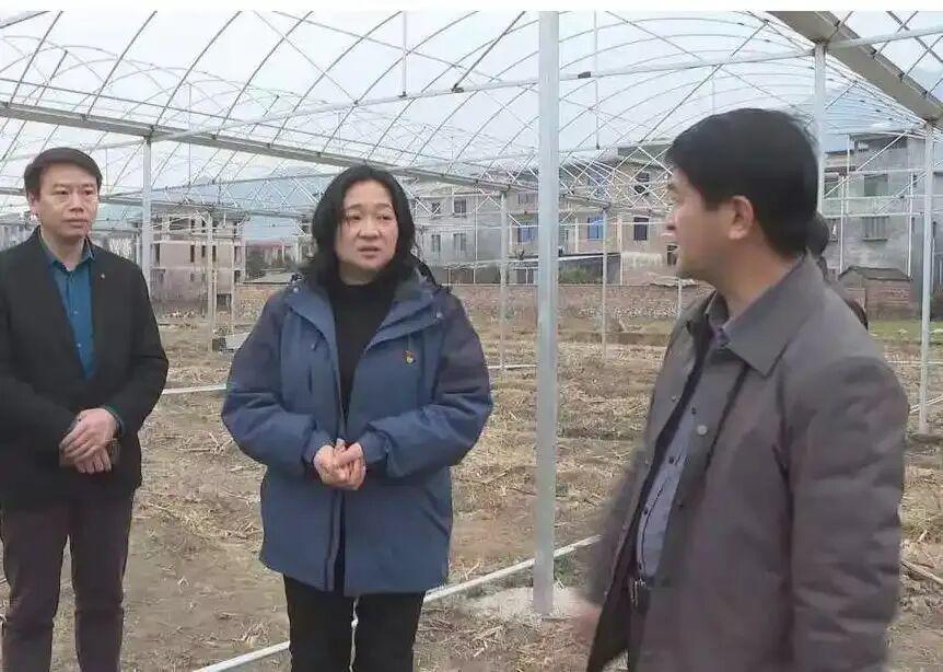 捞舆 | 湖南蓝山县委书记邓群，做对了什么？