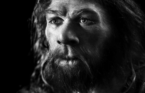 图片来源:S. Entressangle/ E. Daynes/ SPL