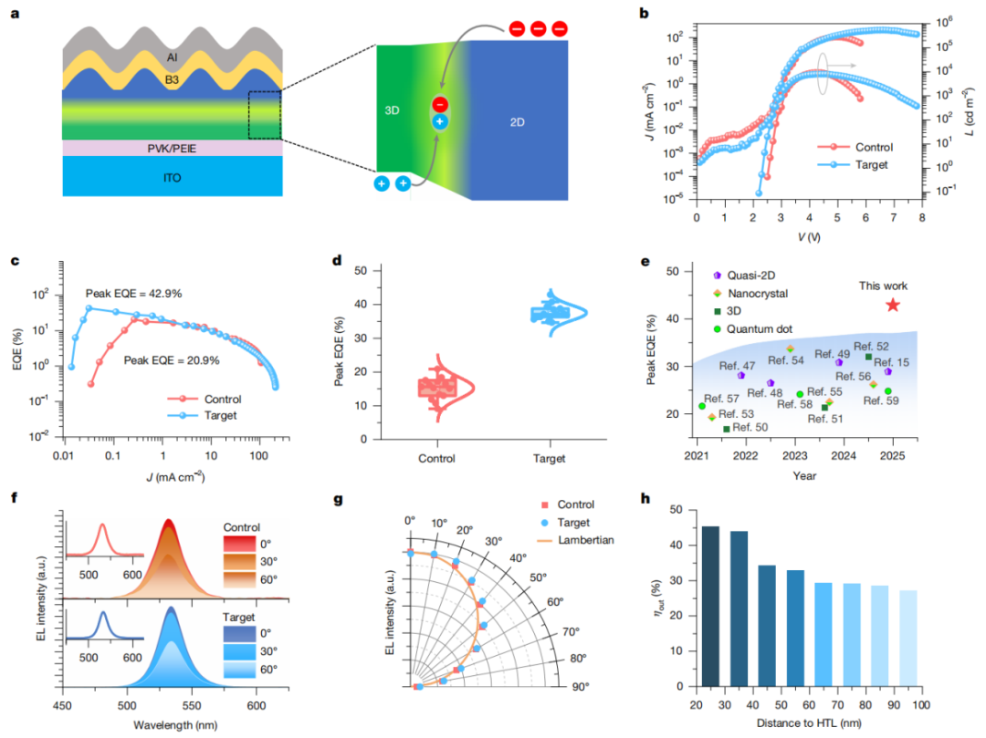 图4. 基于有序3D/2D半导体异质结的电致发光二极管性能