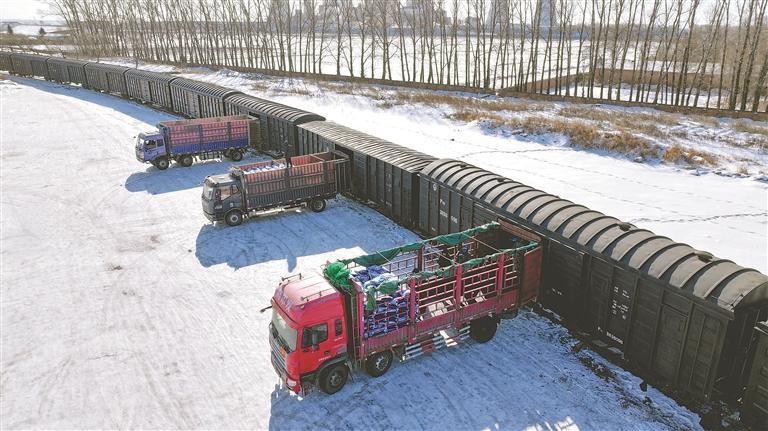 �����ũҵ�ɷ��»��ֹ�˾����·ר�������ͷ��ϡ���������