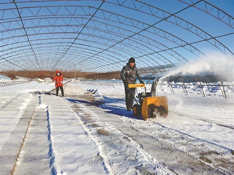 �����ũҵ�ɷ����Ƿֹ�˾�ӿ���ѩ���﹤����������