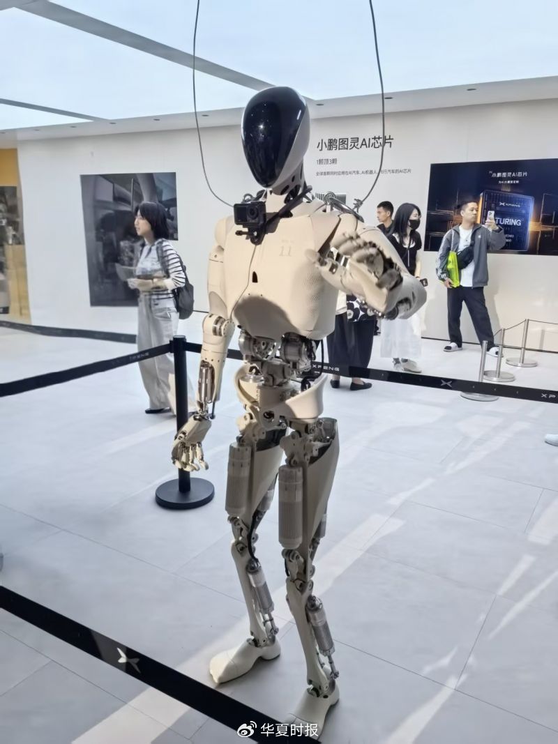 从试点落地到多元布局，宝马、比亚迪、特斯拉等车企加码人形机器人