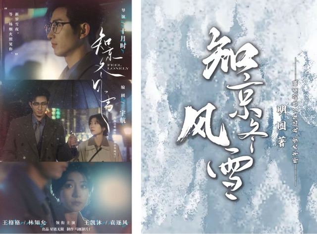 《知京冬风雪》原著封面及短剧海报