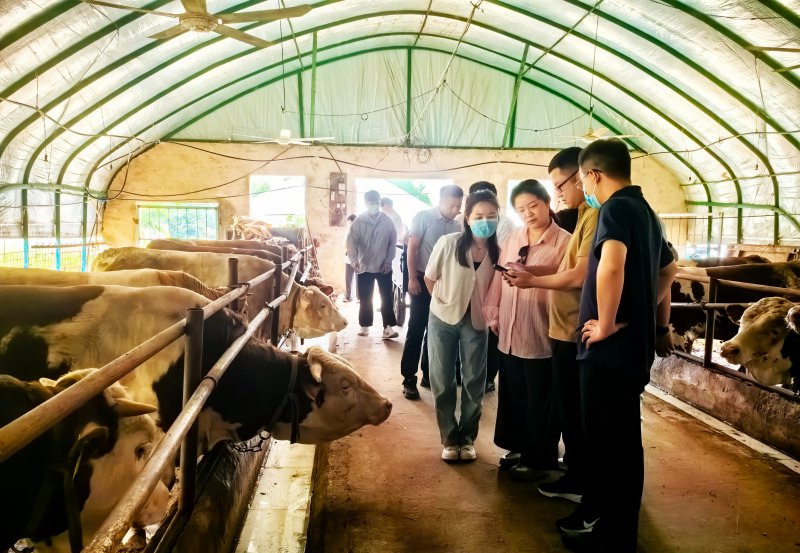 人保财险淮南市分公司：科技赋能+风险减量护航农业发展