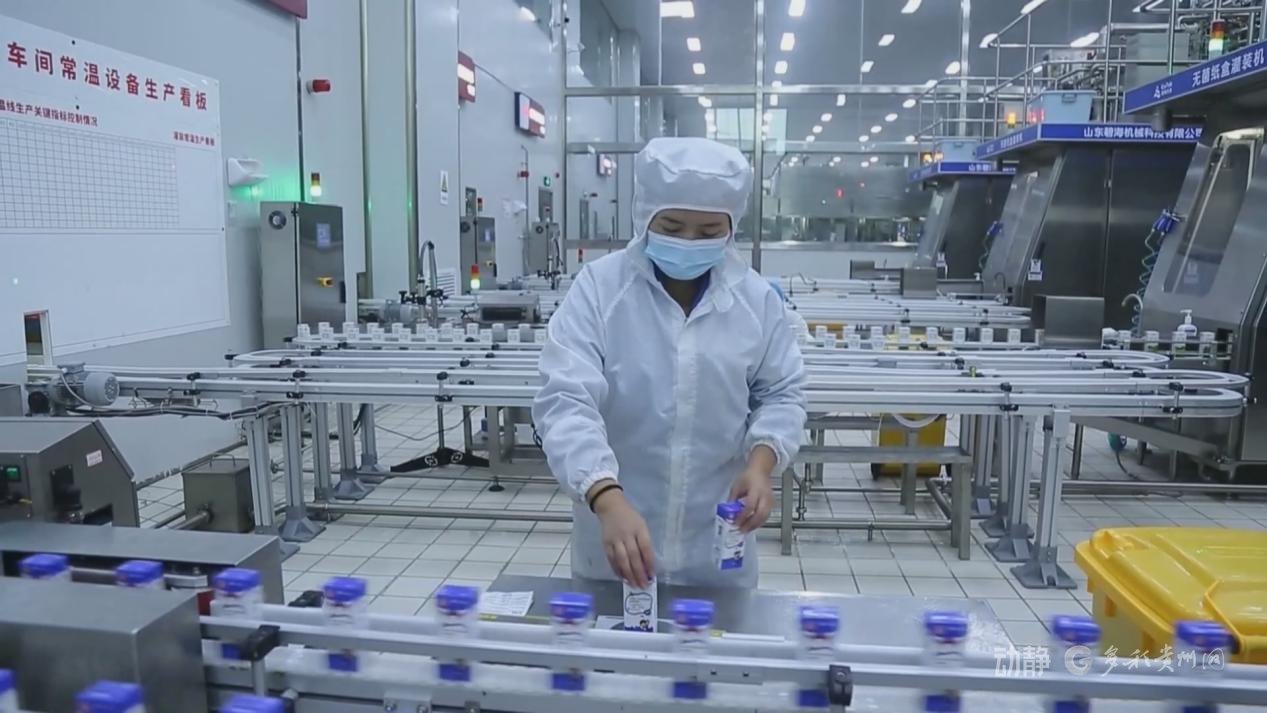 皇氏集团遵义乳业有限公司生产厂长 马冰垒