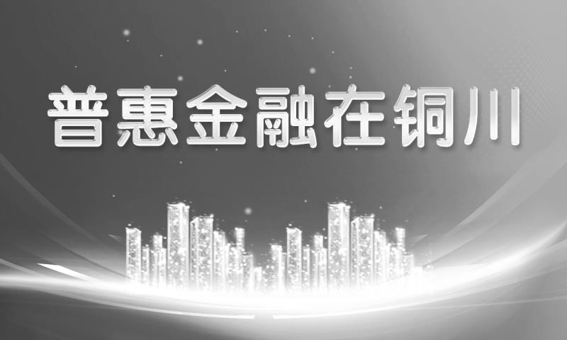 铜川财政金融携手奏响普惠金融发展“交响曲”