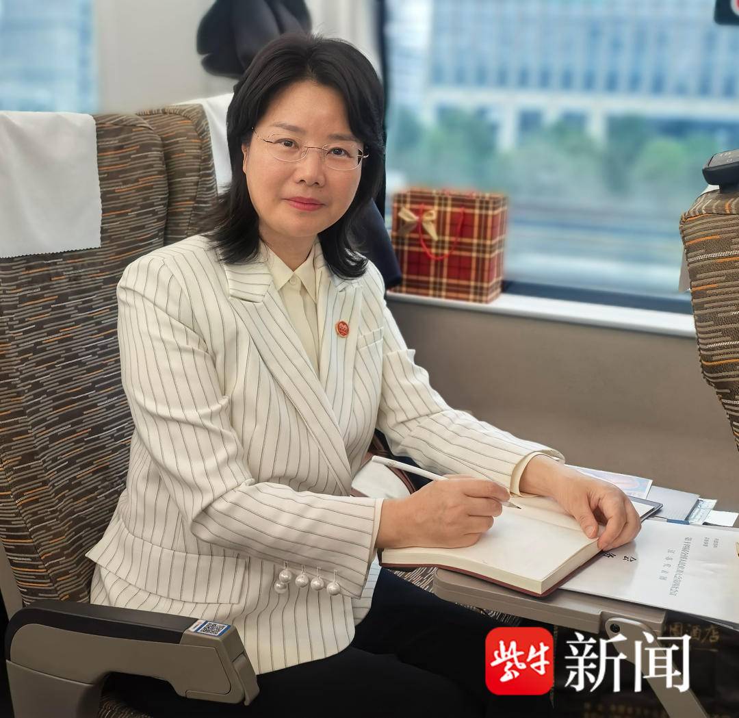 代表刘静瑜：关注能源安全，研发电池能让电车轻松跑1000公里