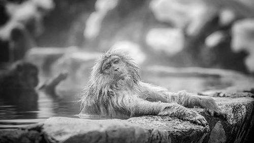 图片来源:Shutterstock