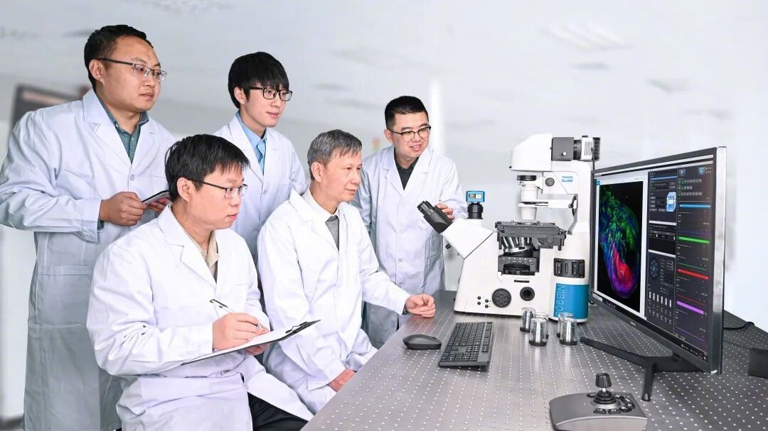 永新光学坚持创新求发展。