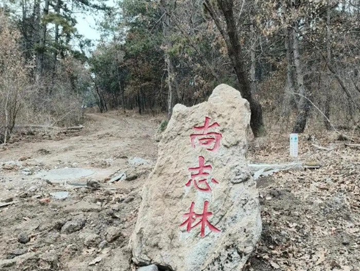 淨月潭森林公園的「尚誌林」 資料圖片