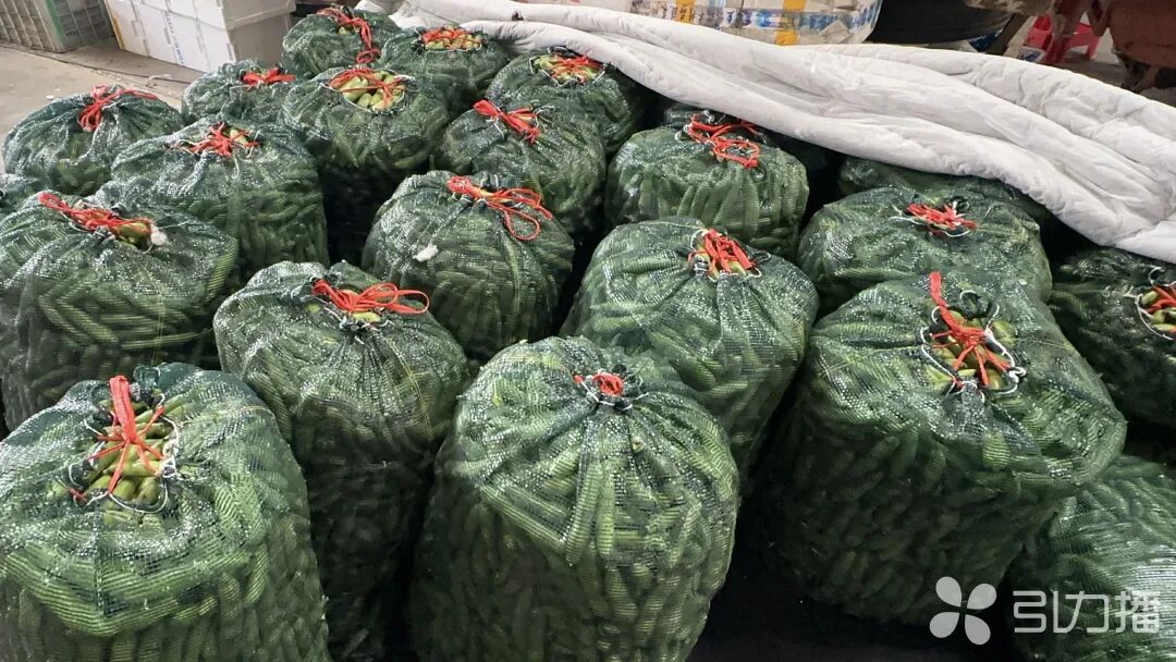 蚕豆、笋，价格跌了超六成！