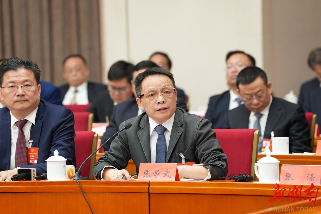 3月7日上午，张学武代表回答记者提问。湖南日报全媒体记者 刘尚文 摄​