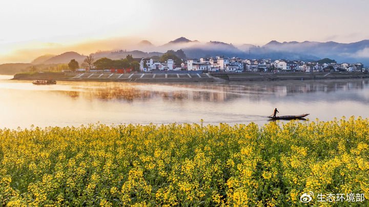   安徽省黄山市歙县新安江畔的油菜花竞相绽放（2025年3月20日摄）。新华社发（郑宏摄）