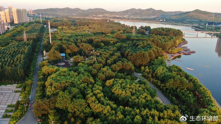   辽宁锦州东湖森林公园（2022年8月16日摄，无人机照片）。 新华社记者 杨青 摄