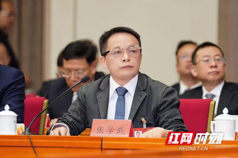 全国人大代表、盐津铺子食品股份有限公司董事长张学武。