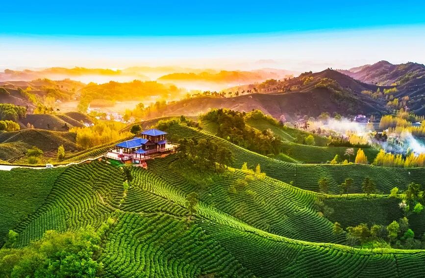 信阳茶山晨韵。吴敏摄（资料图）