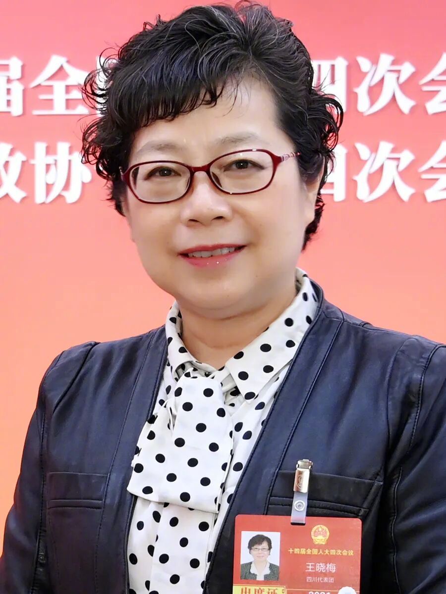 王晓梅、李树林、袁姝代表：筑牢安全屏障 守护“少年的你”