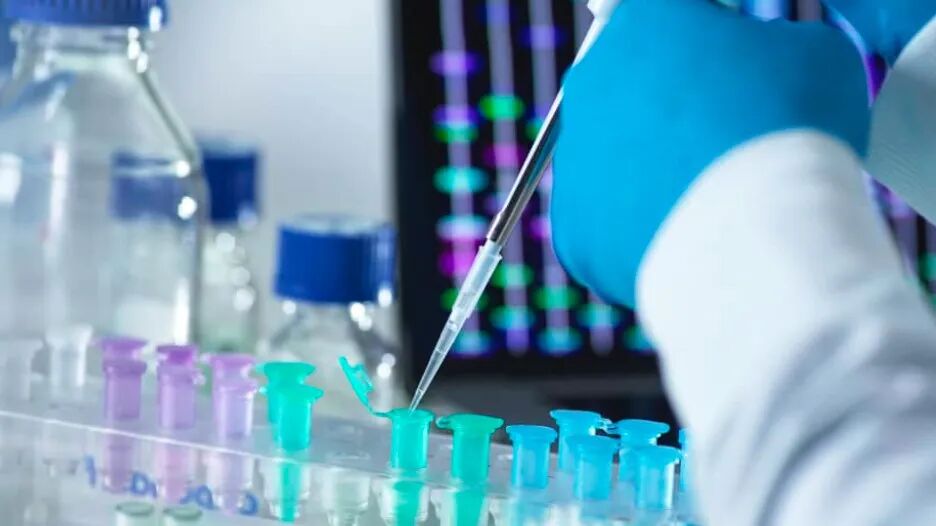 本文字数：3280，阅读时长大约6分钟