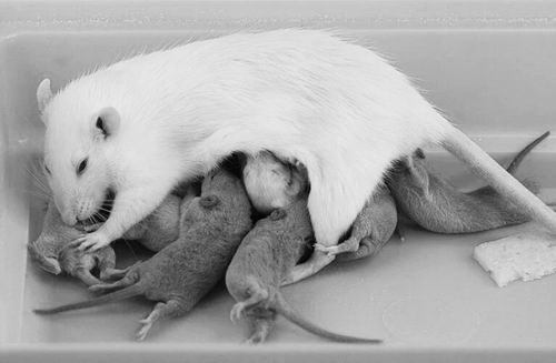 图片来源:Kseniia Glazkova/Alamy