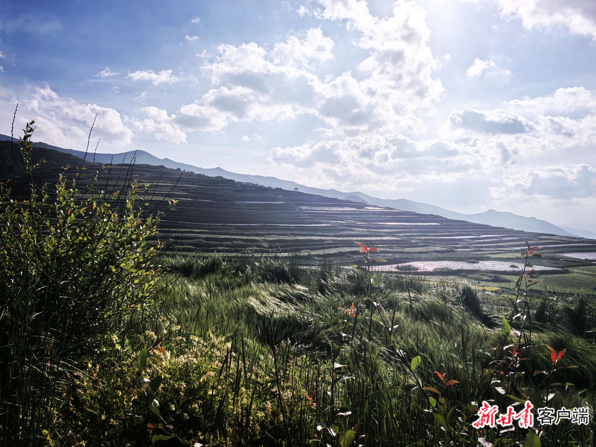 榆中县马衔山区域绿意盎然，风光秀美。