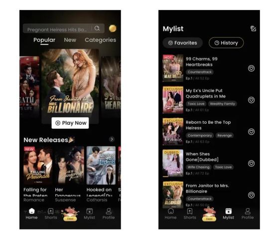 FlareFlow App界面。图/招股书