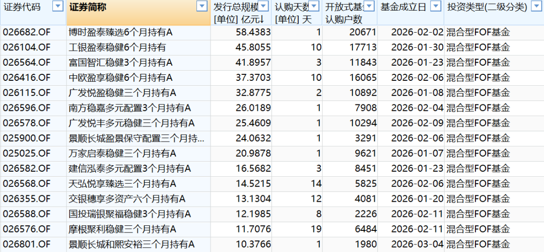 （15只募集规模超10亿元的FOF一览表）