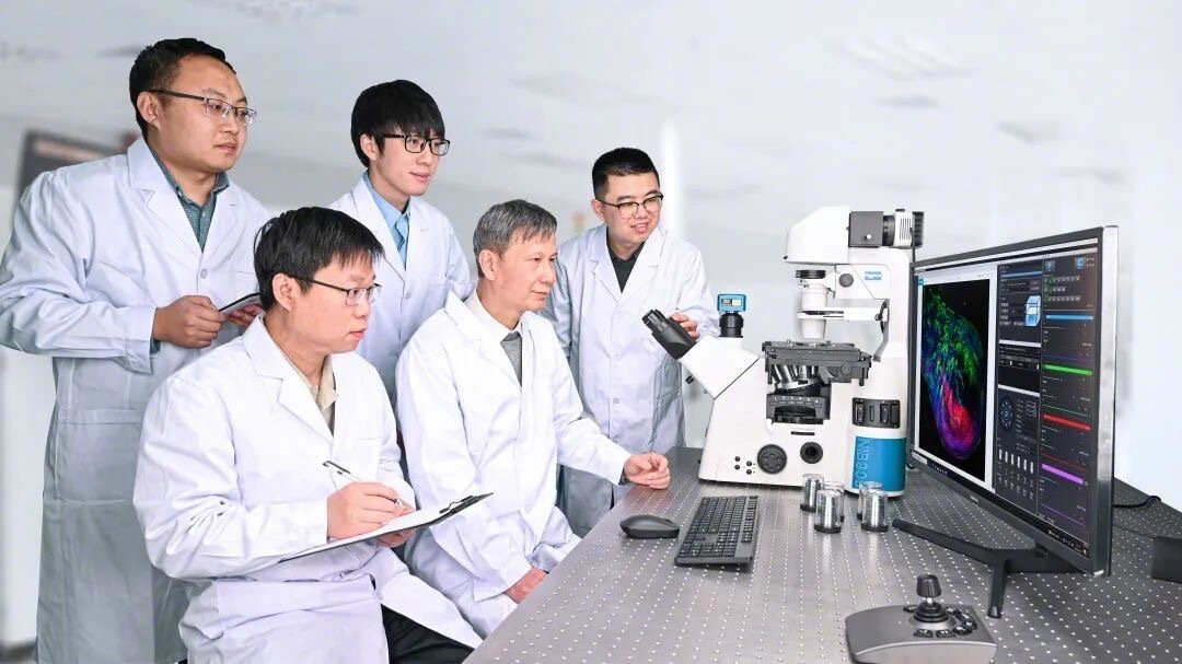 创新，是永新再攀高峰的动力。企业供图