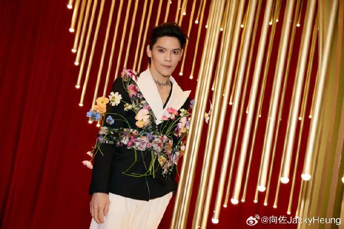 向佐参加活动突然一脚飞踢主持人头部？本人道歉：对不起100遍！