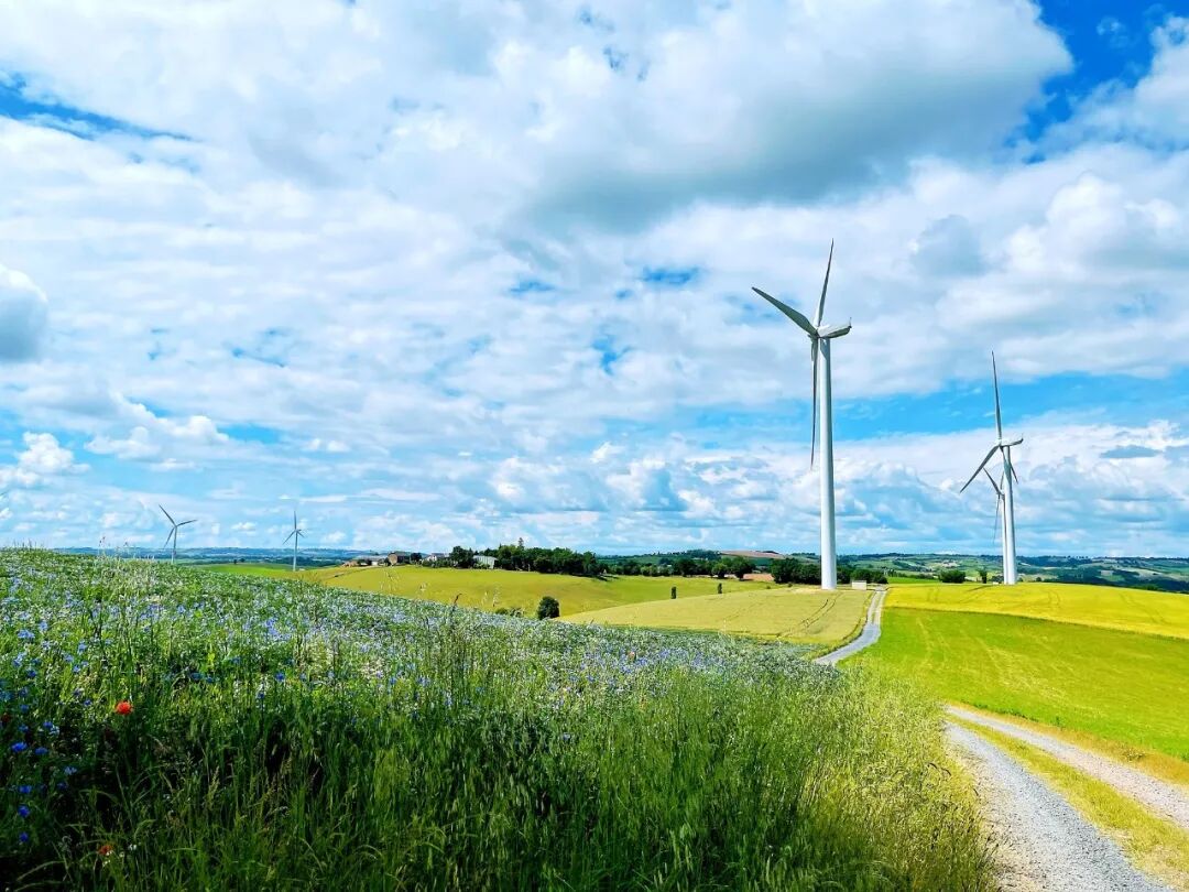 图片来自“中广核”