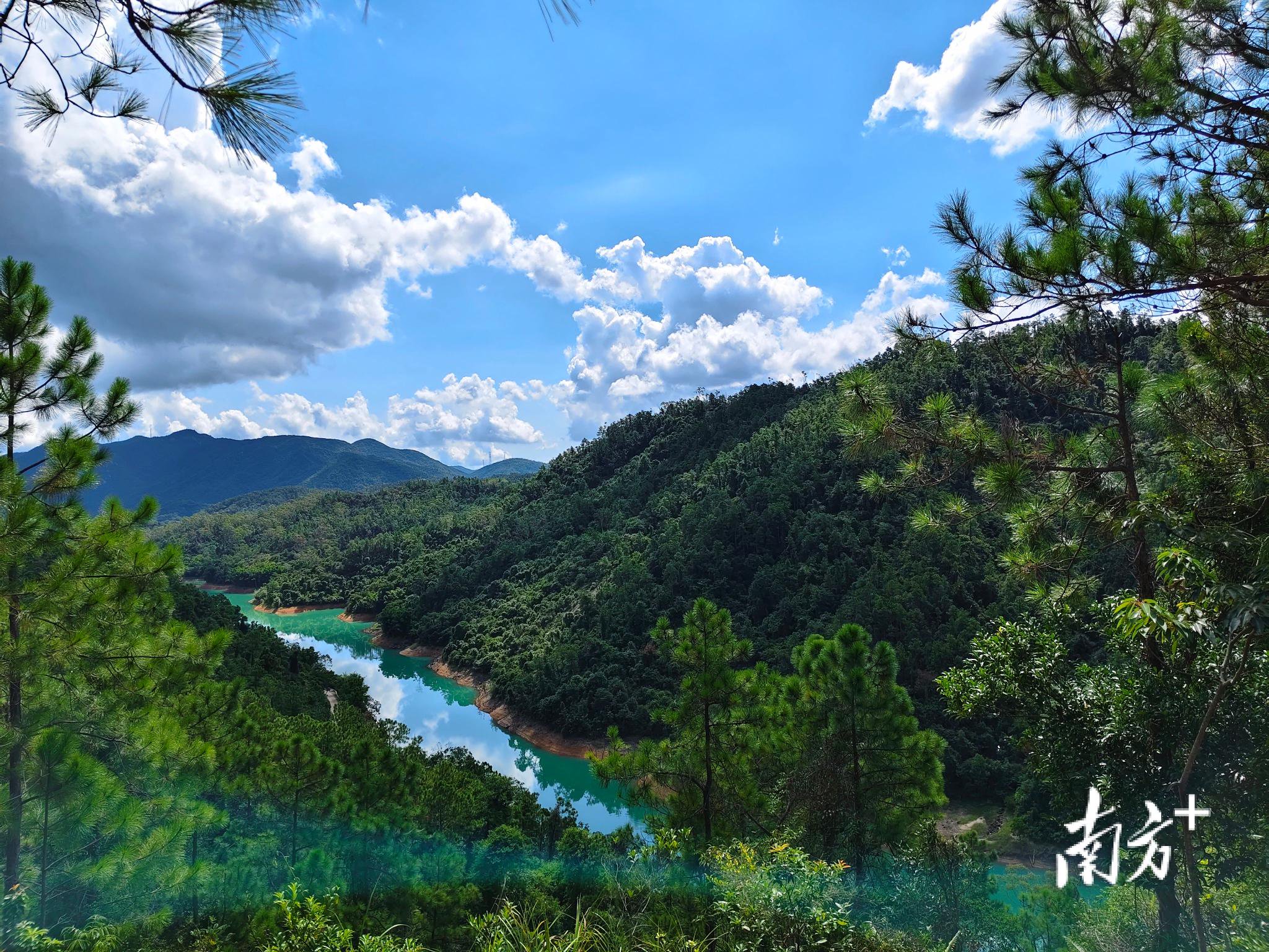 五桂山长坑郊野步道沿途的美景。 受访者 供图
