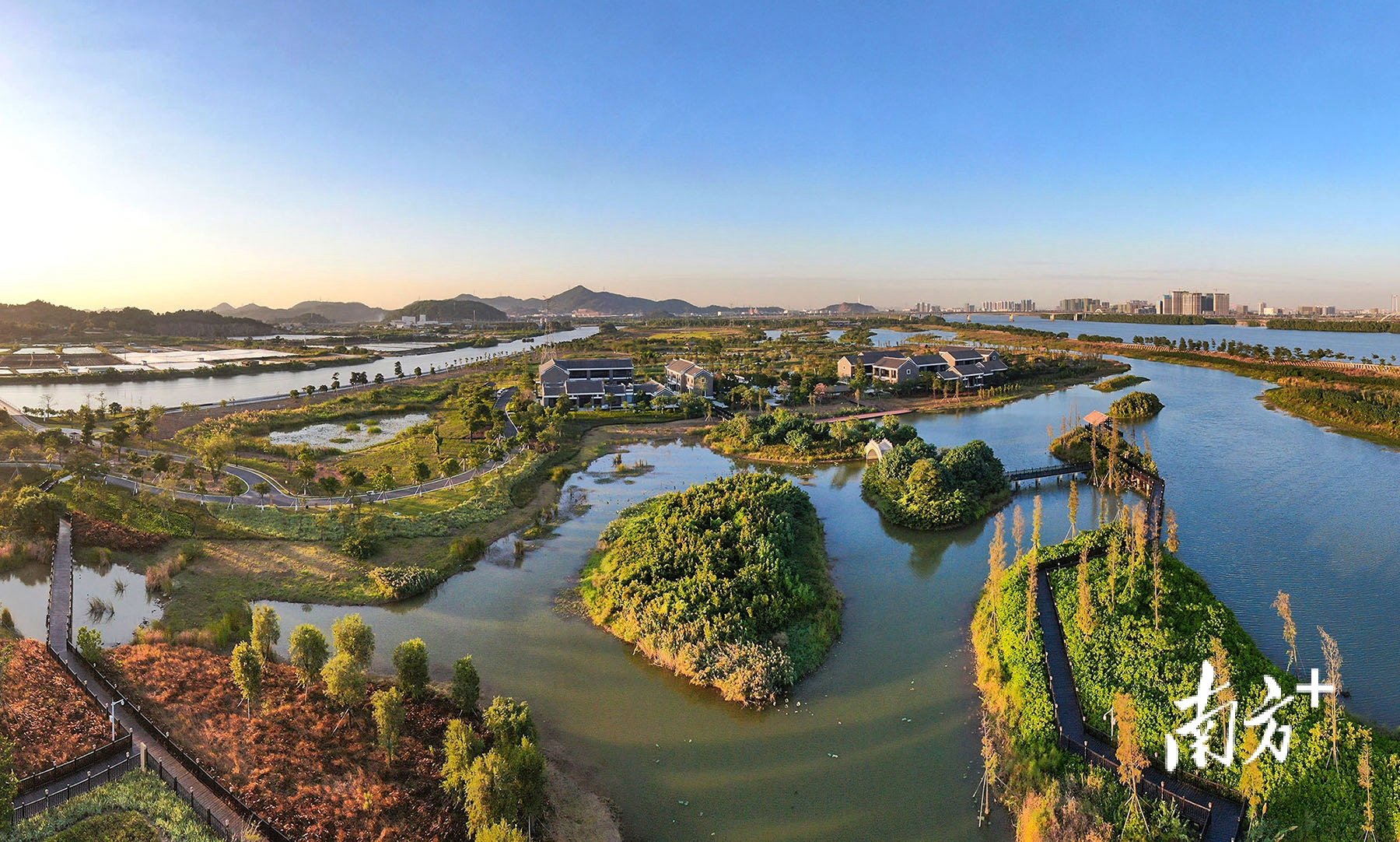 翠亨国家湿地公园。 南方+ 叶志文 拍摄