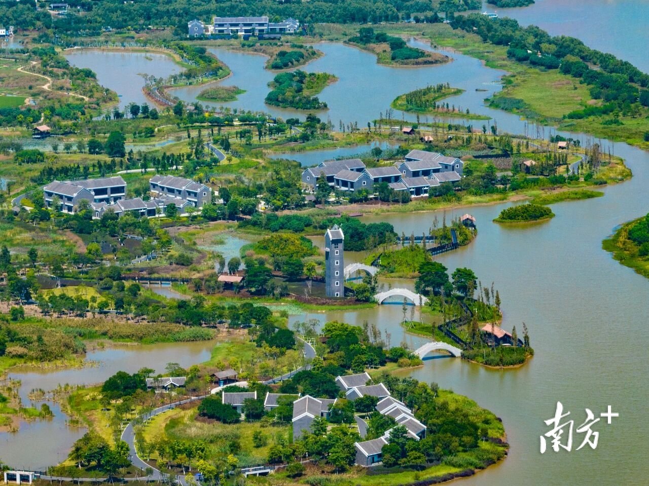 翠亨国家湿地公园。 受访者 供图