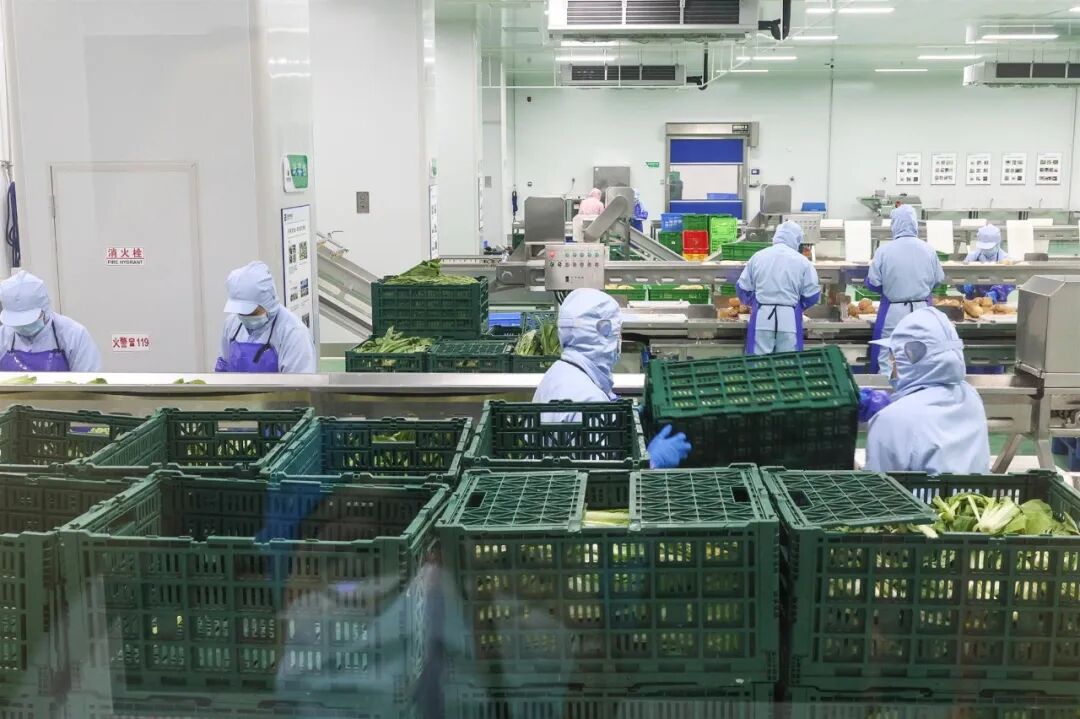 身着无菌服的分拣人员正将刚从罗牛山、广垦绿色农产品等基地运来的新鲜蔬菜、肉类、粮油进行精细化分拣。