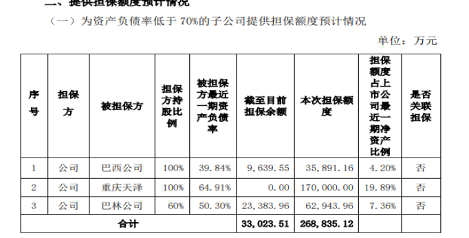 国际复材2024年对外担保额度｜截图自企业公告