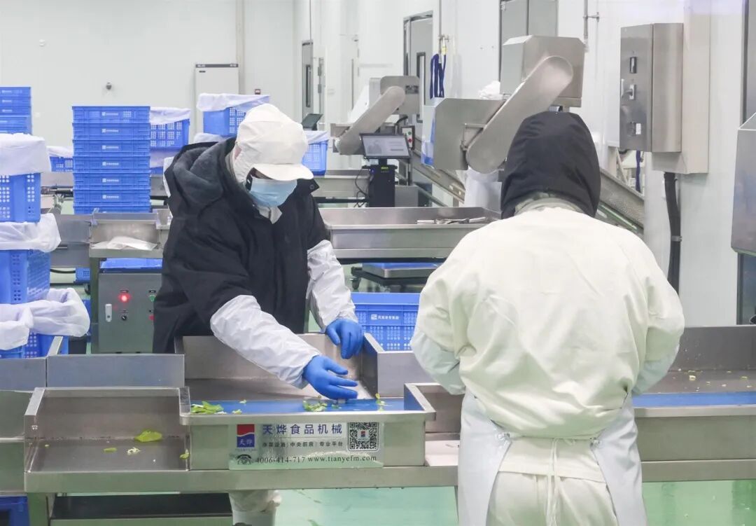 身着无菌服的分拣人员正将刚从罗牛山、广垦绿色农产品等基地运来的新鲜蔬菜、肉类、粮油进行精细化分拣。