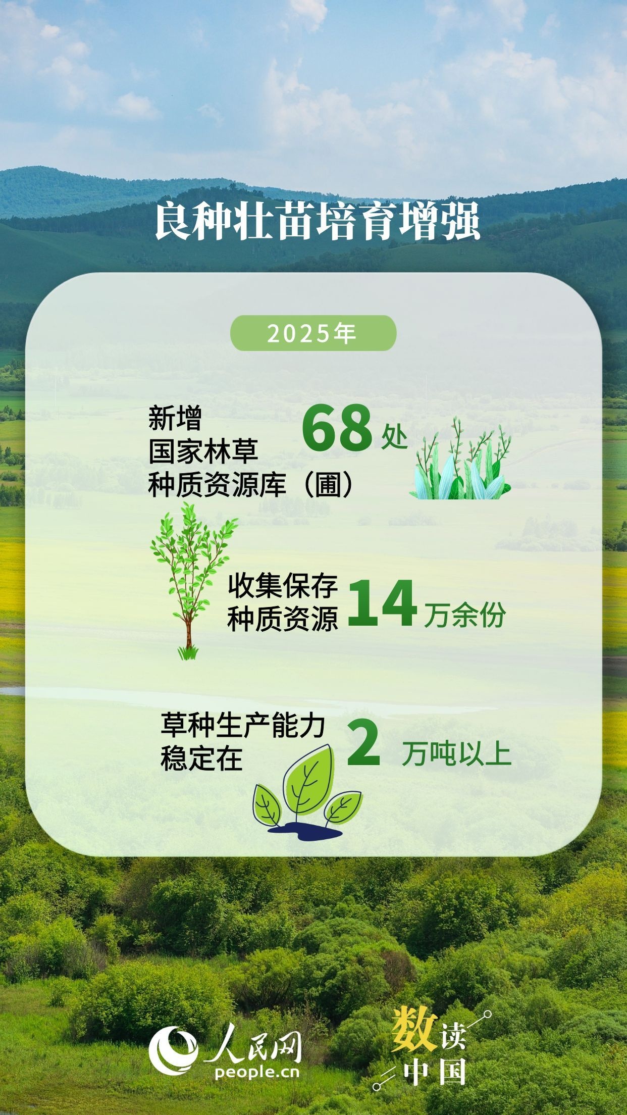 資料來源：人民日報、《2025年中國國土綠化狀況公報》
