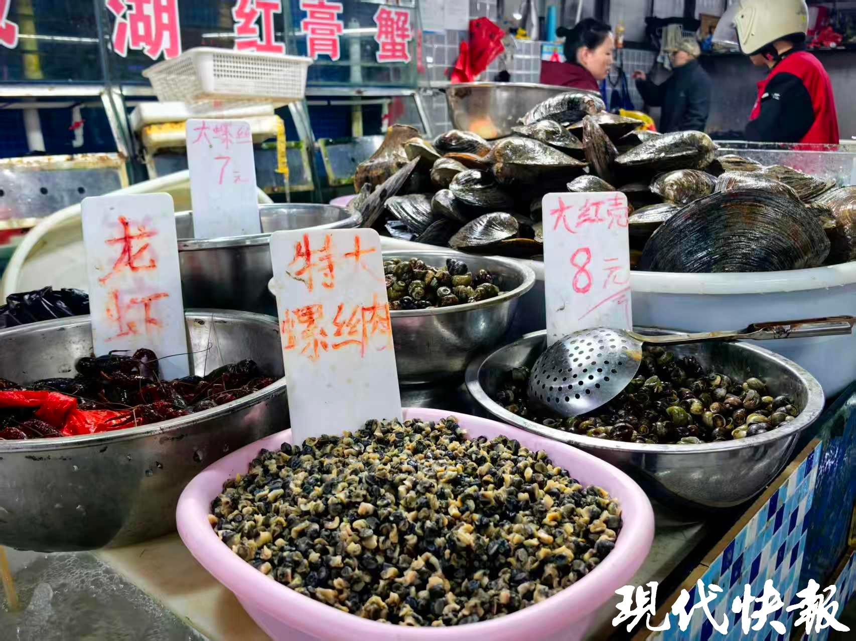 河蚌和螺螄