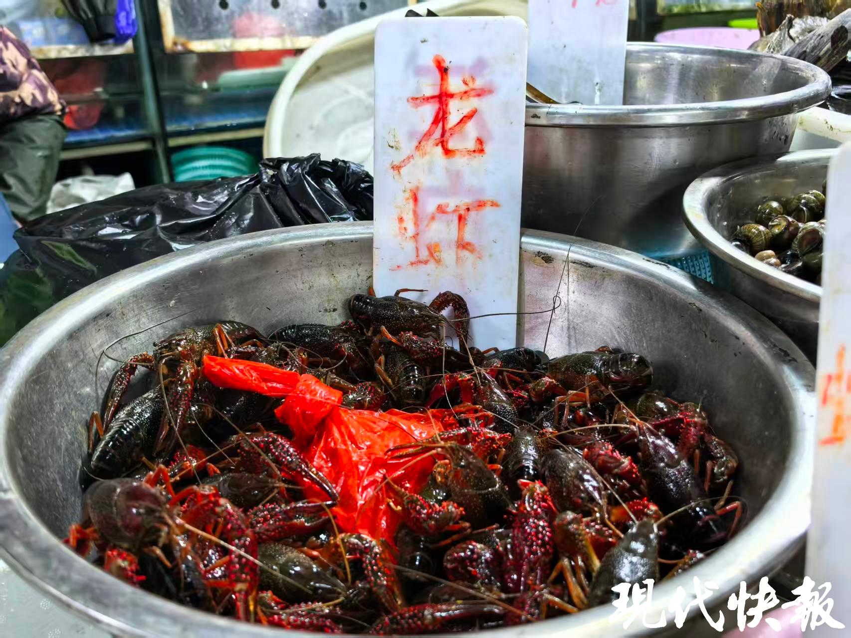 龍蝦