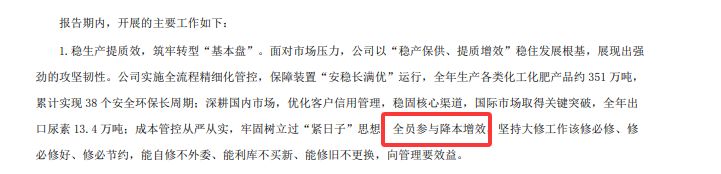 图片来源：泸天化2025年年报