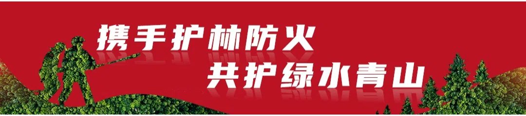 供稿/中国人寿永胜县支公司