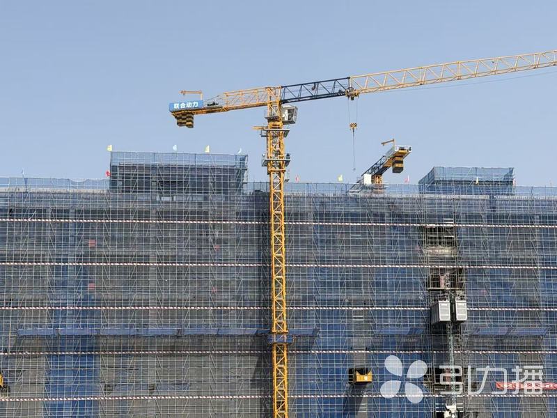 项目建设开足马力。苏报融媒记者徐靖怡/摄